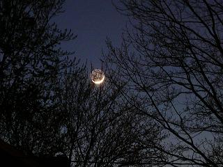 coyote_moon_small Coyote Moon